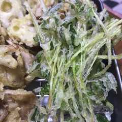 รูปของ サクサク香ばしい豆苗の天ぷら