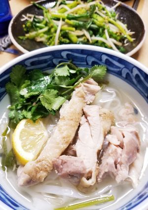 鶏肉のフォー-レシピのメイン写真