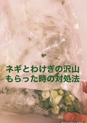 葱、分葱、冷凍しても固まらない方法-レシピのメイン写真