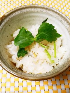 香り爽やか♫生姜と三つ葉の炊き込みご飯-レシピのメイン写真
