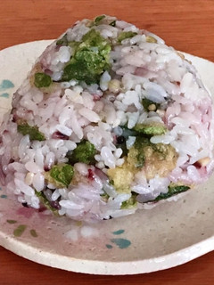 春のおにぎり♡お弁当♡朝ご飯♡春菊天むす-レシピのメイン写真