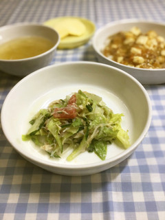 バンバンジーサラダ-レシピのメイン写真