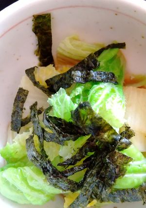 白菜のおひたし-レシピのメイン写真