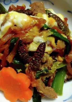 つくしとわけぎ・肉の卵とじ-レシピのメイン写真