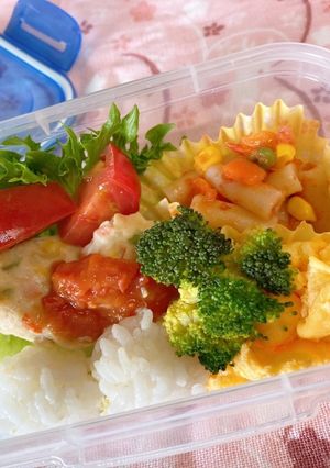 ワンちゃん用 (∪・ω・) お弁当-レシピのメイン写真