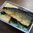 塩サバと玉子焼きのお弁当