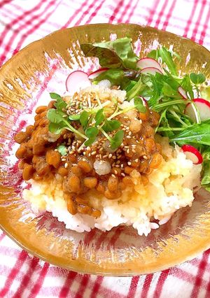 さっぱり大根おろし納豆ごはん-レシピのメイン写真
