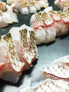 鳥羽沖で釣り上げた真鯛の皮湯引き刺身-レシピのメイン写真
