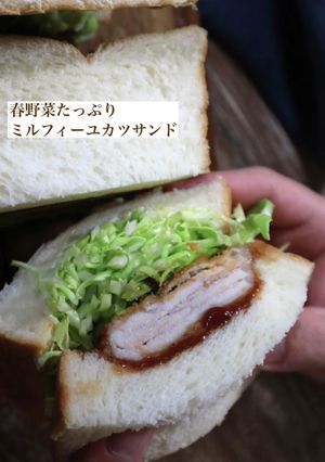 春キャベツたっぷりミルフィーユカツサンド-レシピのメイン写真