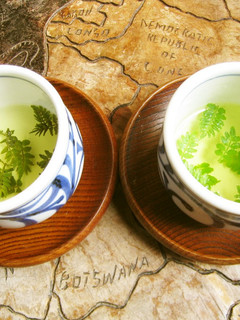 木の芽茶-レシピのメイン写真