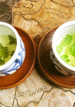 木の芽茶-レシピのメイン写真
