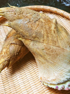 【野菜ソムリエ】糠いらず!竹の子の下処理-レシピのメイン写真