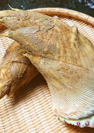 【野菜ソムリエ】糠いらず!竹の子の下処理-レシピのメイン写真