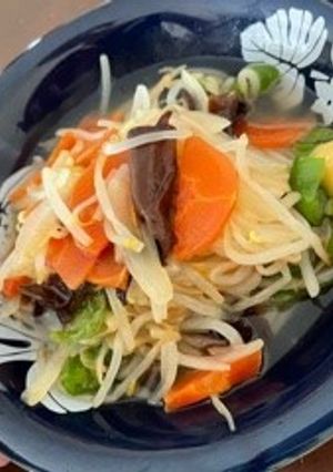 ダイエット中なので皿うどんの上だけ♪-レシピのメイン写真