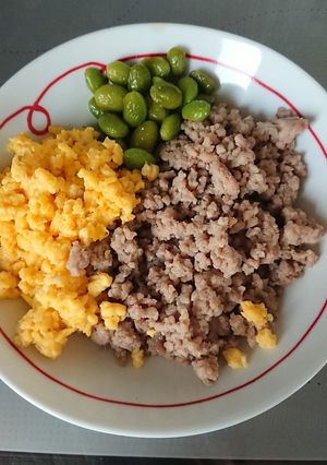 簡単・甘辛だれで三色丼-レシピのメイン写真