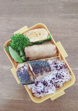 サバ塩焼き&スナップえんどうごま和え弁当-レシピのメイン写真