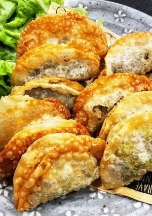 残ったカレー＆餃子の皮-レシピのメイン写真