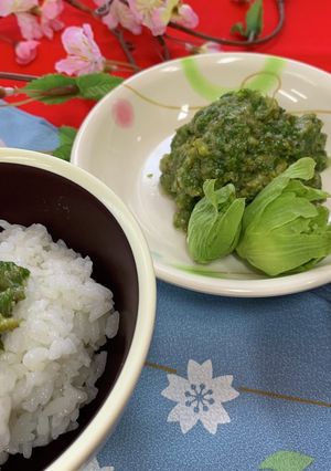 春の香り！高齢者には懐かしのふきみそ-レシピのメイン写真