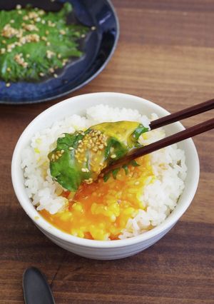 ケンニプ風!大葉のピリ辛漬け-レシピのメイン写真