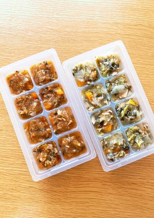 離乳食 炊飯器でストック2種類-レシピのメイン写真