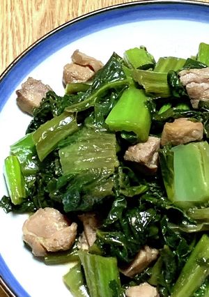 生の高菜と鶏肉の炒め煮-レシピのメイン写真