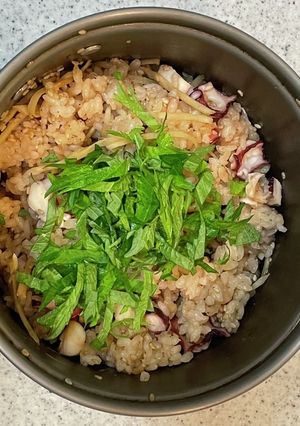 ソロキャンプ用・タコ飯-レシピのメイン写真