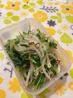 豆苗ともやしのナムル-レシピのメイン写真