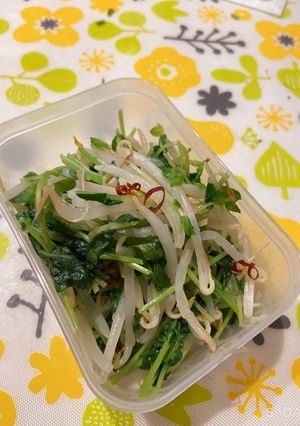 豆苗ともやしのナムル-レシピのメイン写真