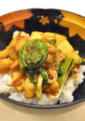 鶏肉と春野菜の山椒味噌丼-レシピのメイン写真
