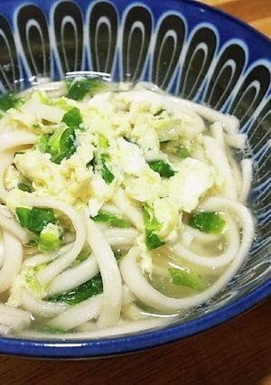 犬ご飯　白菜とホタテのおうどん-レシピのメイン写真