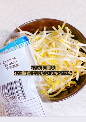 目から鱗!簡単もやしの保存方法-レシピのメイン写真