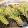 春の山菜ハリギリの天ぷら