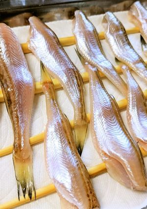冷蔵庫で♡旨味ギュとハタハタの一夜干し-レシピのメイン写真