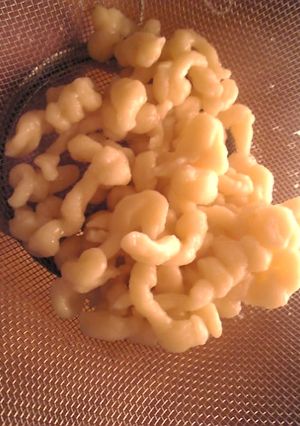 強力粉とバターの生手作りパスタ-レシピのメイン写真