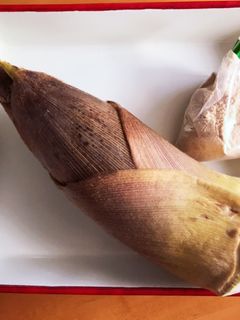 今が旬!たけのこの茹で方-レシピのメイン写真