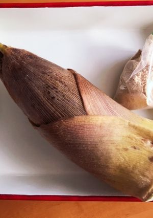 今が旬！たけのこの茹で方-レシピのメイン写真