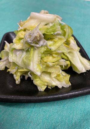 春キャベツとシラスのサラダ-レシピのメイン写真