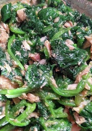 ほうれん草のツナ胡麻和え-レシピのメイン写真