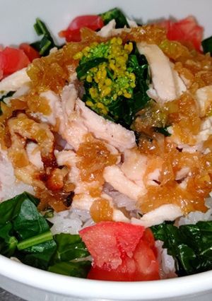 すっぱ鶏肉飯(チーローハン)-レシピのメイン写真