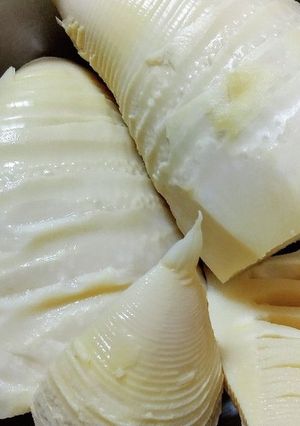 朝採り新鮮たけのこの茹で方-レシピのメイン写真