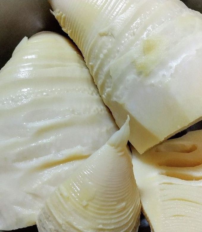 朝採り新鮮たけのこの茹で方-レシピのメイン写真