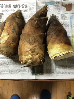 筍の下処理-レシピのメイン写真