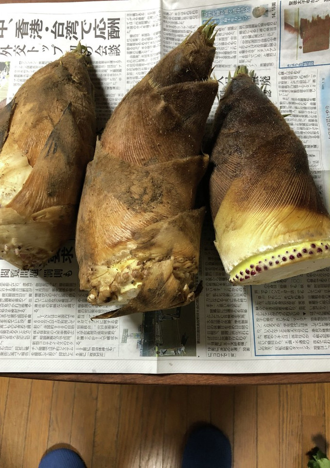 筍の下処理-レシピのメイン写真