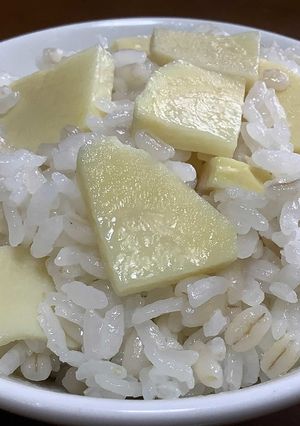 旬の筍だけのシンプルな炊き込みご飯♪-レシピのメイン写真