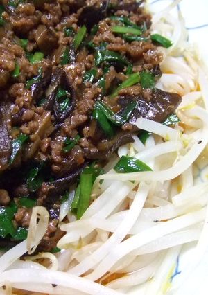 ひき肉あんのもやしのっけ♪-レシピのメイン写真