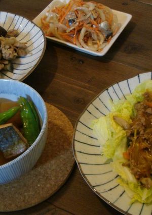 お野菜沢山食べられます!蒸し白菜あんかけ-レシピのメイン写真
