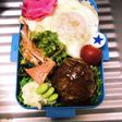 毎日お弁当