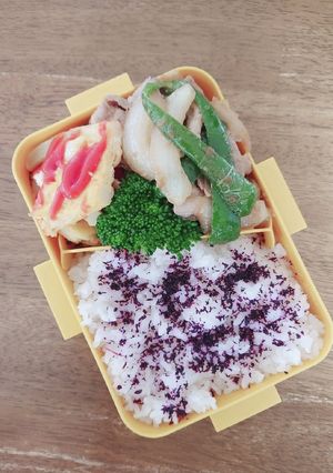 豚肉と新玉ねぎの味噌炒め弁当♪-レシピのメイン写真