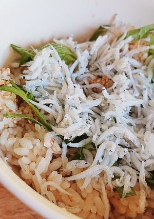 たった3分！ずぼら絶品しらす丼-レシピのメイン写真