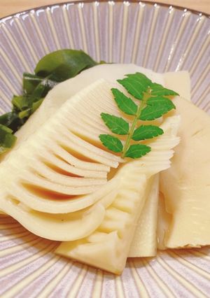 宗田だしの若竹煮-レシピのメイン写真